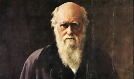 Wikipedia Earns Censor of the Year Tag for Botching Evolution, Intelligent Design
