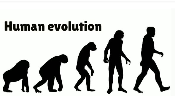 Nobel Prize-Winning Breakthroughs Show Power of Intelligent Design – Not Evolution