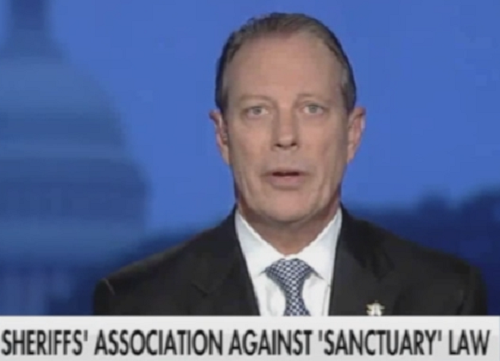 National Sheriffs’ Association: ‘They Just Outlawed Crime Fighting in California’