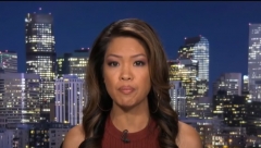 Conservative author Michelle Malkin speaks on Fox News about previous censorship on Facebook. (Photo credit: YouTube/Fox News)