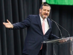 Sen. Ted Cruz (R-Texas) (Photo by Thomas B. Shea/AFP via Getty Images)