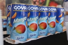 Goya Food on display at Badia Spices' Fun And Fit As A Family Sponsored By Carnival Featuring Goya Foods Kidz Kitchen during 2016 Food Network & Cooking Channel South Beach Wine & Food Festival Presented By FOOD & WINE at Jungle Island on February 28, 2016 in Miami, Florida. (Photo by John Parra/Getty Images for SOBEWFF®)