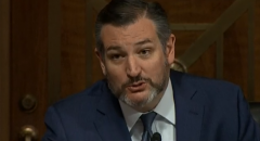 Sen. Ted Cruz (R-Texas) stands with police against Democrat 'crazies.' (Photo: Screen capture)