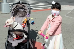 Even children wear face masks as New York City reopens. (Photo by Ira L. Black/Corbis via Getty Images)