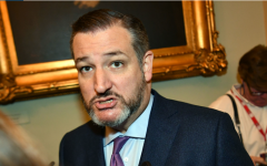 Senator Ted Cruz (R-Texas) (Getty Images)