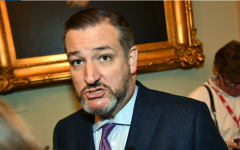 Senator Ted Cruz (R-Texas)  (Getty Images)