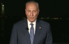 Senate Minority Leader Chuck Schumer (D-N.Y.) addresses the Democrat National Convention. (Photo: Screen capture)