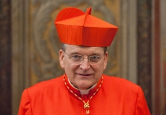 Cardinal Raymond Leo Burke. (Getty Images)