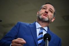 Sen. Ted Cruz (R-Texas) (Photo by MANDEL NGAN/AFP via Getty Images)