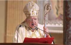 Cardinal Raymond Burke (Screen Capture)