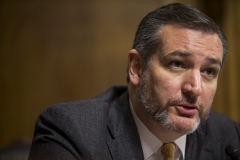 Sen. Ted Cruz (R-Texas) (Getty Images)