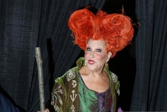 Bette Midler at her annual Hulaween Bash, New York City, Oct. 28, 2016. (Photo by Rebecca Smeyne/Getty Images)