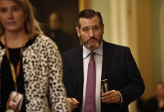 Sen. Ted Cruz (R-Texas) (Photo by BRENDAN SMIALOWSKI/AFP via Getty Images)
