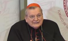 Cardinal Raymond Leo Burke.  (Screenshot)  