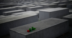 A lone red rose lies on one of the concrete steles of the Memorial to the Murdered Jews of Europe (Holocaust memorial) in Berlin on Nov. 9, 2020. (Photo credit: TOBIAS SCHWARZ/AFP via Getty Images)