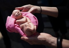 Featured is a fetus replica. (Photo credit: MANDEL NGAN/AFP via Getty Images)