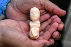 Featured is a fetus replica. (Photo credit: JOAQUIN SARMIENTO/AFP via Getty Images)