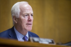 Sen. John Cornyn (R-Texas)  (Getty Images)