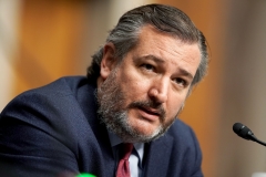 Sen. Ted Cruz (R-Texas)  (Getty Images)  