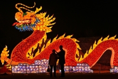 A giant dragon lantern looms over a park in Wuhan in China's central Hubei province. (Photo by HECTOR RETAMAL/AFP via Getty Images)