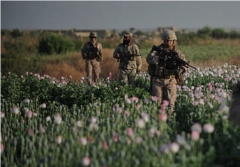 U.S. forces walk through an opium field in Helmand Province in 2011. (Bay Ismoyo/AFP via Getty Images)