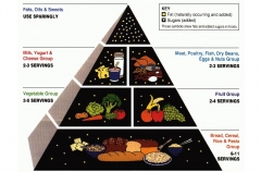 This was the Department of Agriculture's food guide pyramid. (Photo credit: USDA/Corbis via Getty Images)
