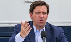 Florida Gov. Ron DeSantis (R).  (Getty Images)