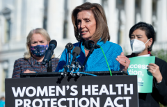 House Speaker Nancy Pelosi (D-Calif.)  (Getty Images)  