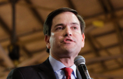 Sen. Marco Rubio (R-Fla.)  (Getty Images)