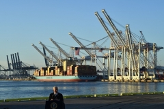 President Joe Biden speaks at the Port of Baltimore in Maryland on November 10, 2021. (Photo by BRENDAN SMIALOWSKI/AFP via Getty Images)