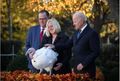 (Photo by Olivier Douliery/AFP via Getty Images)