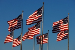 The sun sets on a group of American flags in Liberty State Park on September 7, 2021 in Jersey City, New Jersey. (Photo by Gary Hershorn/Getty Images)