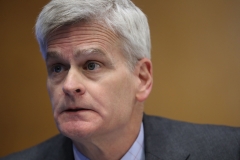 Sen. Bill Cassidy (R-La.) (Getty Images)