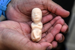 Featured is a fetus replica. (Photo credit: JOAQUIN SARMIENTO/AFP via Getty Images)