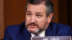 Sen. Ted Cruz (R-Texas) (Getty Images)