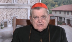 Cardinal Raymond Burke, former head of the highest court at the Vatican. (Screenshot)