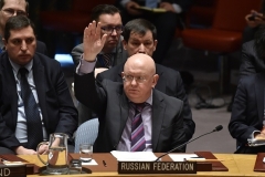 Russian Ambassador to the U.N. Vassily Nebenzia, raises his hand to veto a draft Security Council resolution. (File photo by Hector Retamal/AFP via Getty Images)