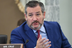 Sen. Ted Cruz (R-Texas) (Getty Images)
