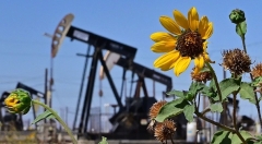 This picture taken on September 28, 2022 shows wildflowers growing near oil pumpjacks along a section of Highway 33 known as the Petroleum Highway north of McKittrick in Kern County, California. (Photo by FREDERIC J. BROWN/AFP via Getty Images) This picture taken on September 28, 2022 shows wildflowers growing near oil pumpjacks along a section of Highway 33 known as the Petroleum Highway north of McKittrick in Kern County, California. (Photo by FREDERIC J. BROWN/AFP via Getty Images)