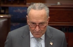 Senate Majority Leader Chuck Schumer (D-N.Y.)   (Screenshot)  