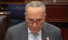 Senate Majority Leader Chuck Schumer (D-N.Y.)   (Screenshot)  