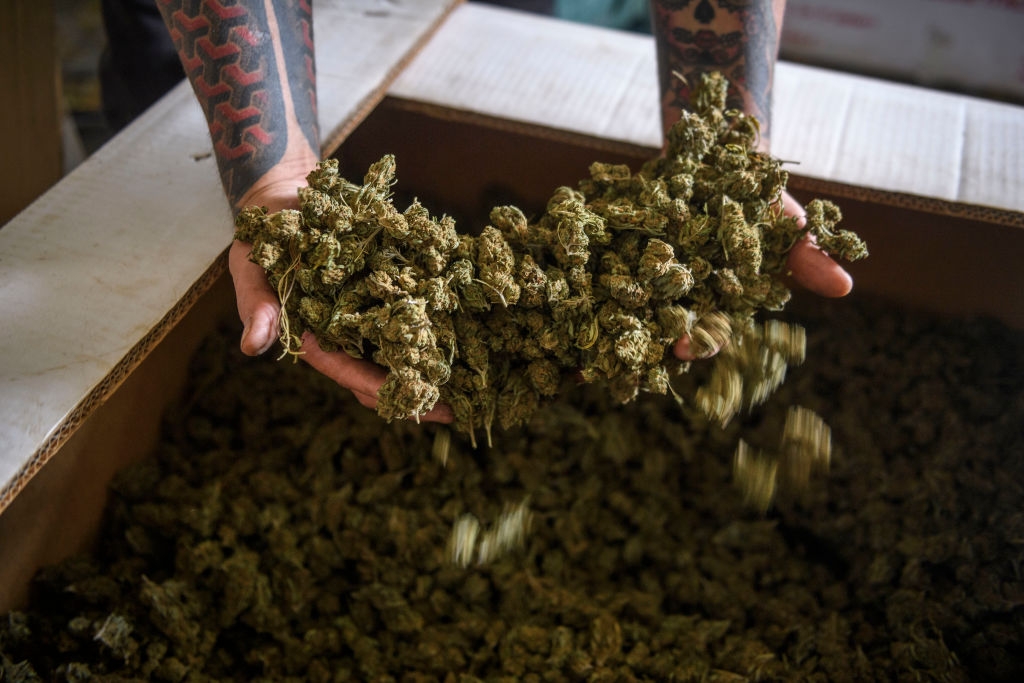 House Passes Bill to Legalize Marijuana - Vimarsana News